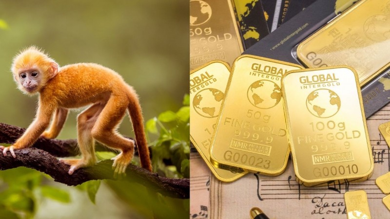 TOP 4 con giáp may mắn đủ đường, phất lên như diều gặp gió cuối tháng 4/2024 TOP 4 con giáp may mắn đủ đường, phất lên như diều gặp gió cuối tháng 4/2024