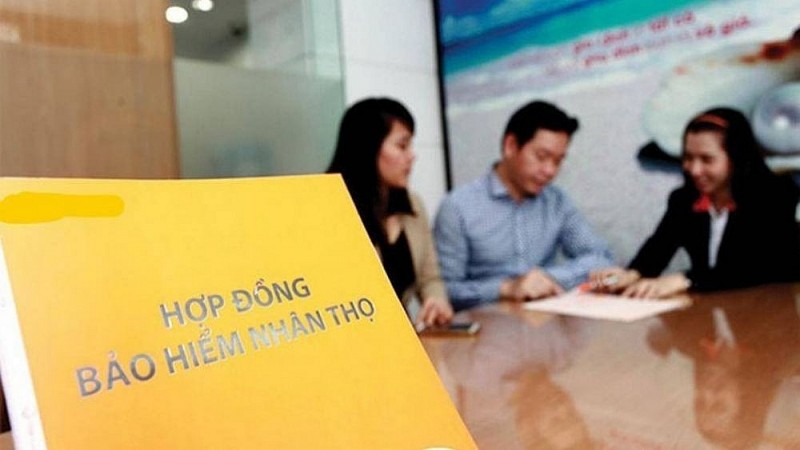Lợi nhuận thuần từ kinh doanh bảo hiểm sụt giảm, Manulife, Prudential, Dai-ichi Life và Cathay Life vẫn lãi nghìn tỷ nhờ đâu? Lợi nhuận thuần từ kinh doanh bảo hiểm sụt giảm, Manulife, Prudential, Dai-ichi Life và Cathay Life vẫn lãi nghìn tỷ nhờ đâu?
