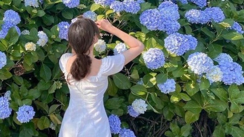 Tử vi hôm nay 12 cung hoàng đạo 1/5/2024: Kim Ngưu cồng việc vô cùng thuận lợi Tử vi hôm nay 12 cung hoàng đạo 1/5/2024: Kim Ngưu cồng việc vô cùng thuận lợi