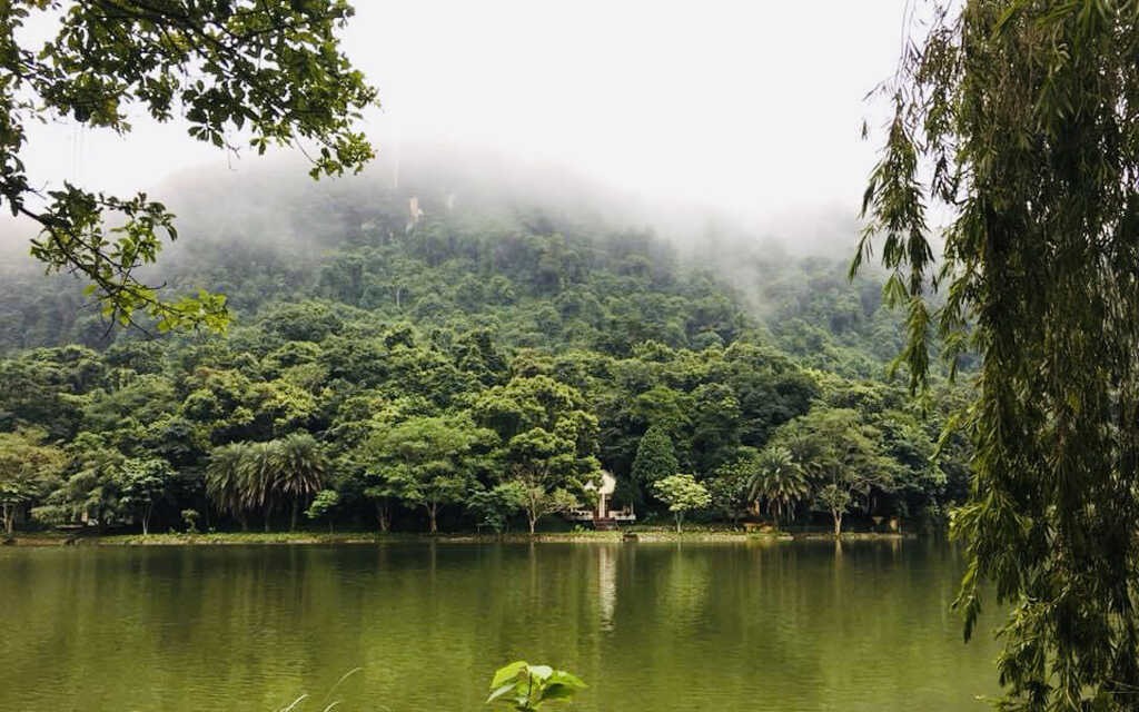 Enjoy A Peaceful Summer Vacation In Cuc Phuong National Park Enjoy A Peaceful Summer Vacation In Cuc Phuong National Park