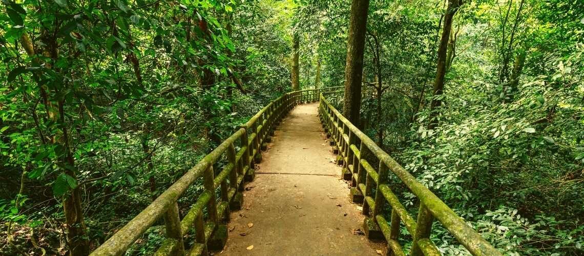 Enjoy A Peaceful Summer Vacation In Cuc Phuong National Park Enjoy A Peaceful Summer Vacation In Cuc Phuong National Park