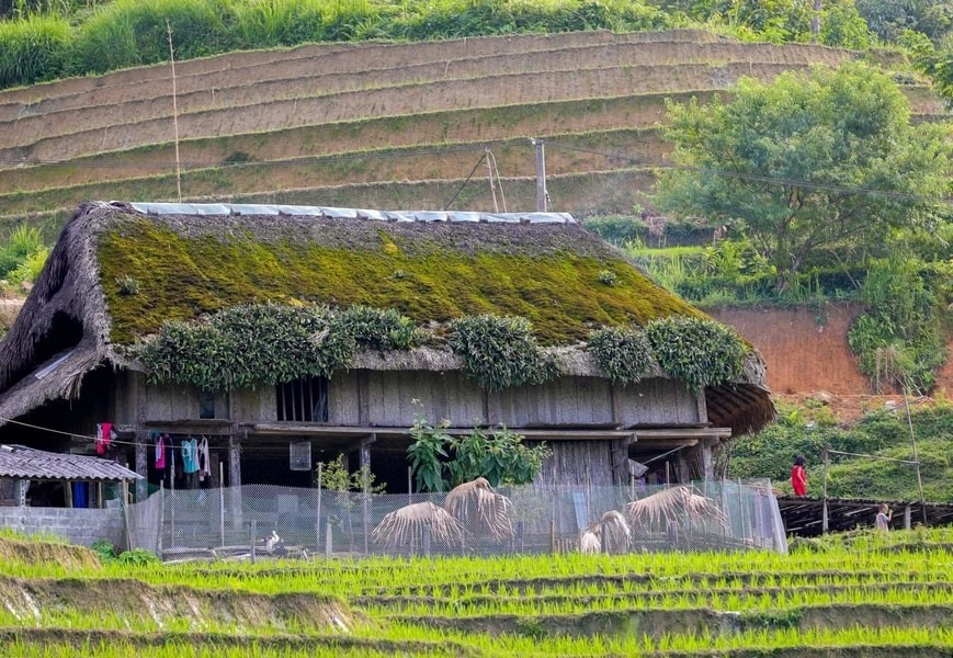Xa Phin - The Dreamy Moss-Covered Village In Ha Giang Xa Phin - The Dreamy Moss-Covered Village In Ha Giang
