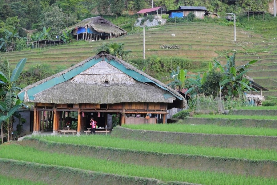 Xa Phin - The Dreamy Moss-Covered Village In Ha Giang Xa Phin - The Dreamy Moss-Covered Village In Ha Giang