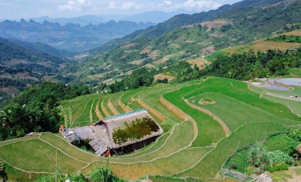 Xa Phin - The Dreamy Moss-Covered Village In Ha Giang Xa Phin - The Dreamy Moss-Covered Village In Ha Giang