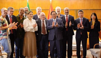 Vietnam And Brazil Promote Trade Cooperation