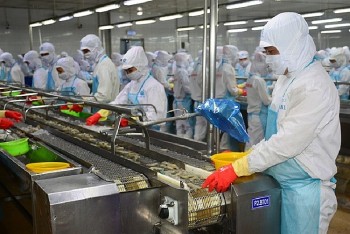 Ngành tôm Việt Nam 