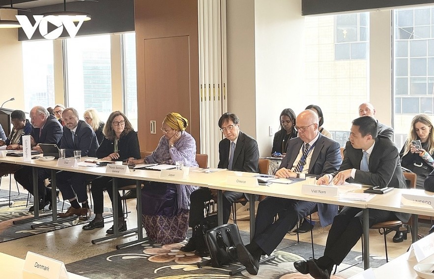 Ambassador Dang Hoang Giang, Vietnam's Permanent Representative to the UN (first from right) attends the meeting. Ambassador Dang Hoang Giang, Vietnam's Permanent Representative to the UN (first from right) attends the meeting.