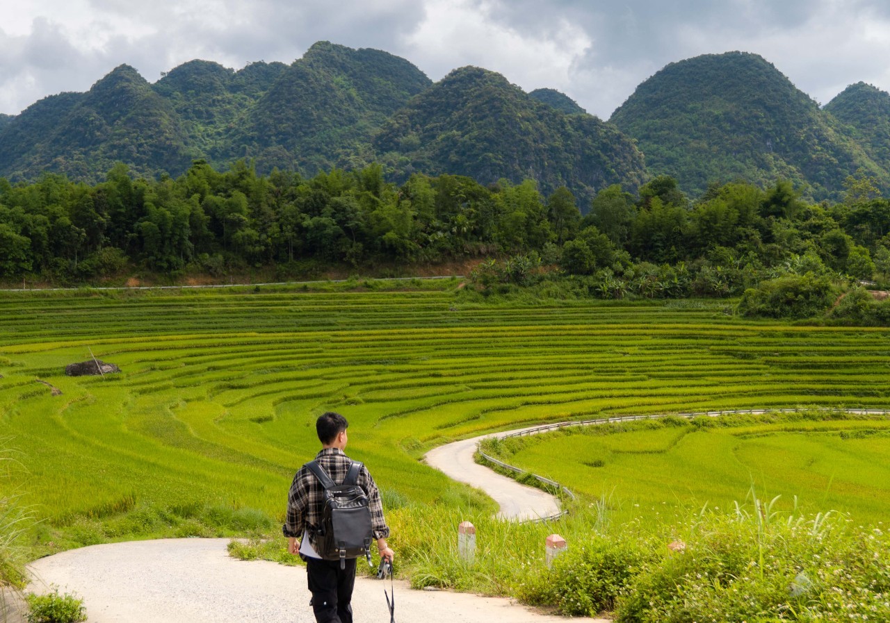 Admire The Mesmerizing Don Village In The Ripening Rice Season Admire The Mesmerizing Don Village In The Ripening Rice Season