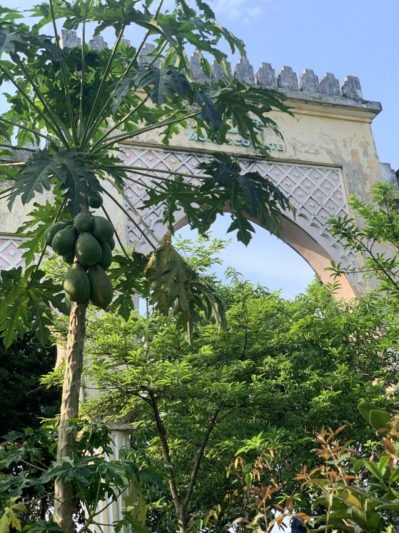Tu sửa, bảo vệ để Cổng Ma-rốc trở thành một điểm di tích Tu sửa, bảo vệ để Cổng Ma-rốc trở thành một điểm di tích