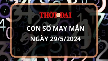 Con số may mắn hôm nay 29/5/2024 12 con giáp: Hợi đón nhận tin vui liên tiếp về tiền bạc