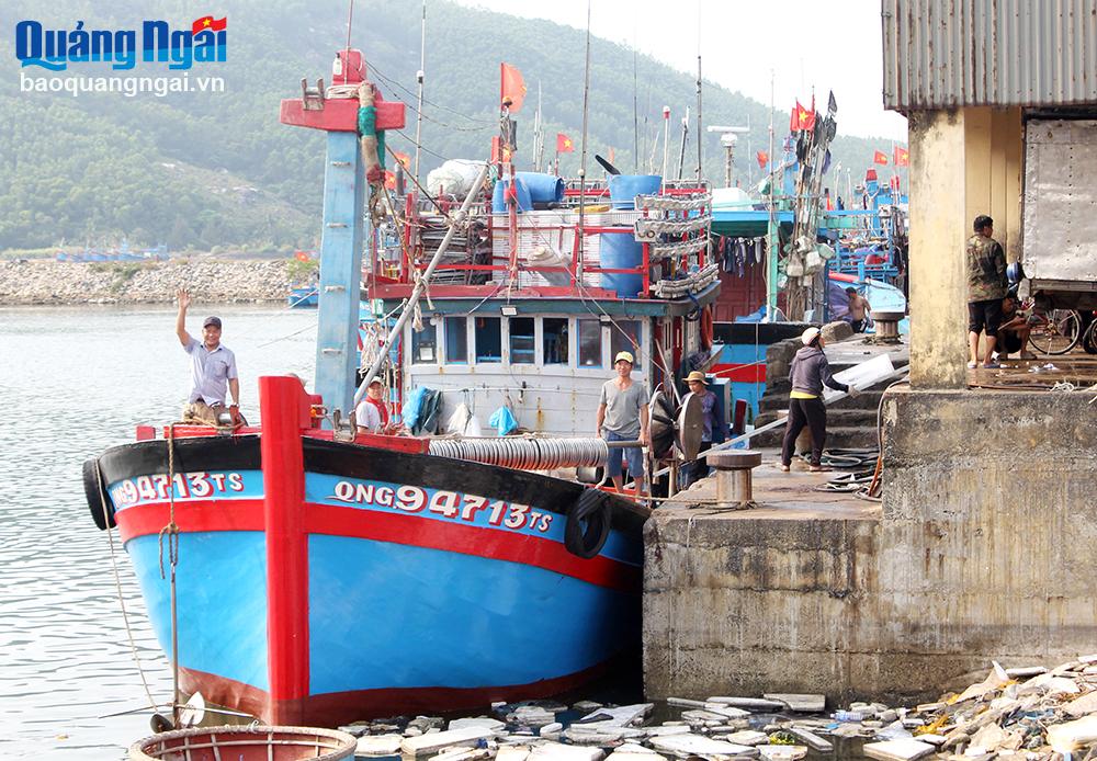 Lớn lên từ biển Tàu của ngư dân Nguyễn Đức Thạnh chuẩn bị ra khơi.