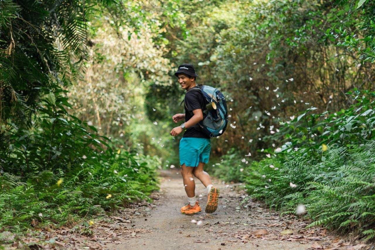Discover The Mesmerizing Butterfly Season In Cat Ba Island Discover The Magical Butterfly Season In Cat Ba Island
