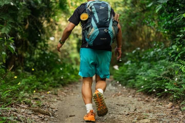 Discover The Mesmerizing Butterfly Season In Cat Ba Island Discover The Magical Butterfly Season In Cat Ba Island