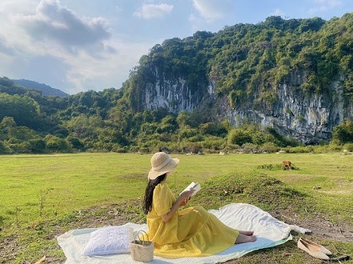 Discover The Mesmerizing Butterfly Season In Cat Ba Island Discover The Magical Butterfly Season In Cat Ba Island