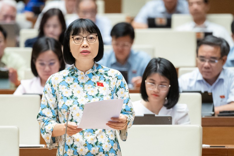 Đại biểu tranh luận trái chiều giữa hai phương án rút bảo hiểm một lần Đại biểu tranh luận trái chiều giữa hai phương án rút bảo hiểm một lần