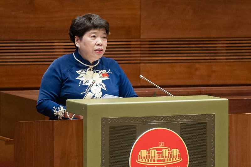 Đại biểu tranh luận trái chiều giữa hai phương án rút bảo hiểm một lần Đại biểu tranh luận trái chiều giữa hai phương án rút bảo hiểm một lần