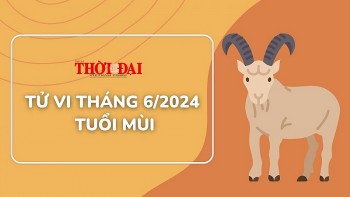 Tử vi tuổi Mùi tháng 6/2024: Bất ổn, nhiều sóng gió tai ương