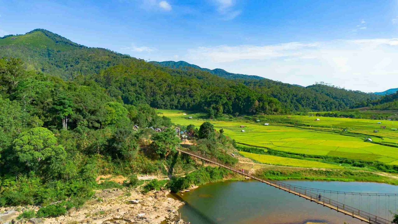 Admire The Mesmerizing Ripen Kon Tu Rang Terraced Fields In Kon Tum Admire The Mesmerizing Ripening Kon Tu Rang Terraced Fields In Kon Tum