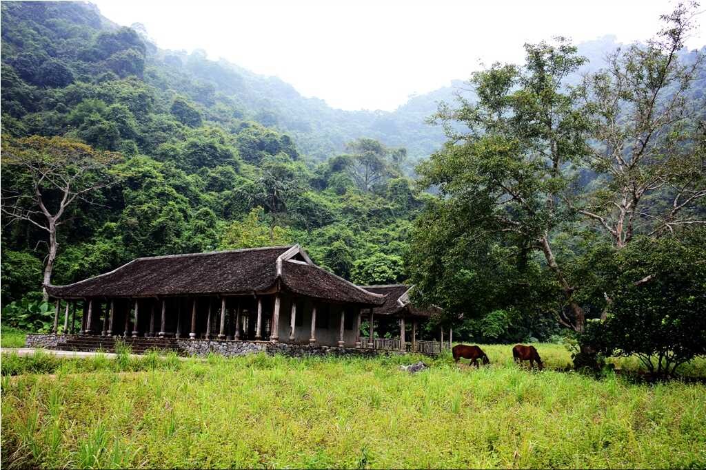 Discover Viet Hai – The Hundred-Year-Old Village In Cat Ba Island