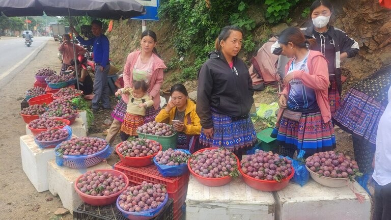 Na Ka Plum Valley – A Perfect Weekend Getaway In Moc Chau Na Ka Plum Valley – A Perfect Weekend Getaway In Moc Chau