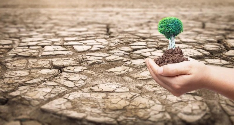 Ngày Môi trường Thế giới: Phục hồi đất, chống hạn hán và sa mạc hóa 3 Ngày Môi trường Thế giới: Phục hồi đất, chống hạn hán và sa mạc hóa 3