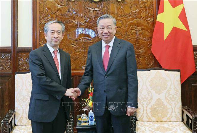 Chủ tịch nước Tô Lâm tiếp Đại sứ Trung Quốc Hùng Ba Chú thích ảnh