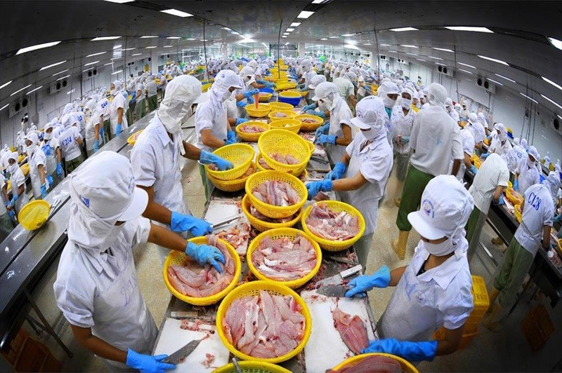 Thị trường xuất khẩu số 1 của cá tra đang giảm mạnh Thị trường xuất khẩu số 1 của cá tra đang giảm mạnh