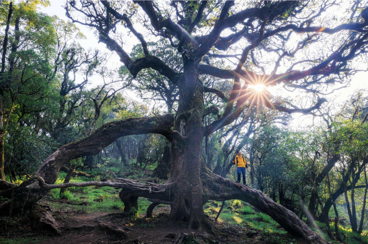 Conquer The Breath-taking Trekking Route Climbing Sa Mu Mountain Peak Conquer The Challenging Trekking Route Of Sa Mu Peak For A Weekend Getaway