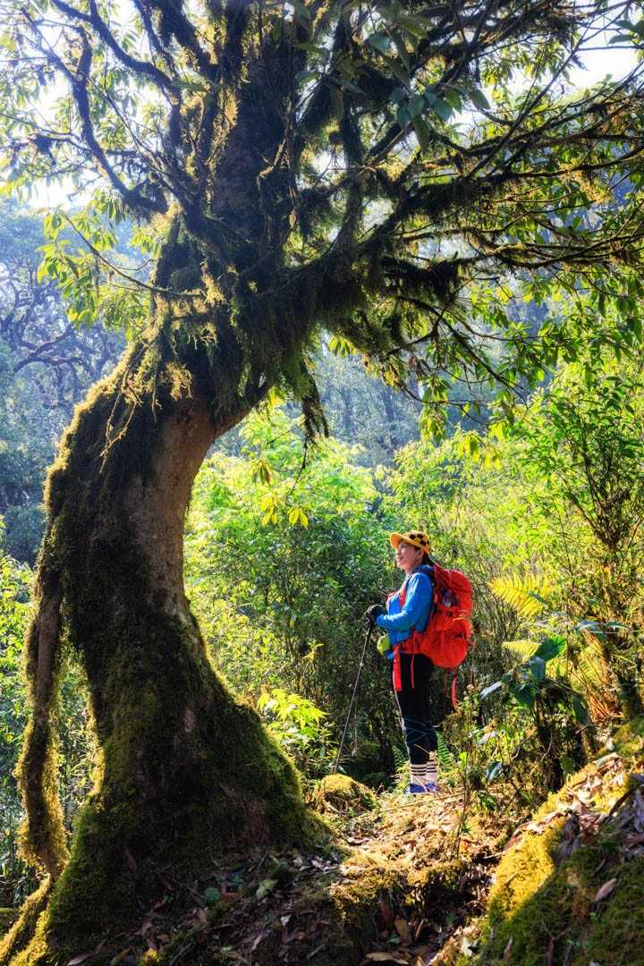 Conquer The Breath-taking Trekking Route Climbing Sa Mu Mountain Peak Conquer The Challenging Trekking Route Of Sa Mu Peak For A Weekend Getaway