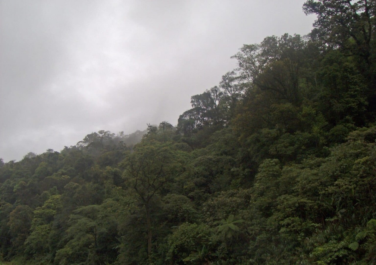 Experience The Breath-Taking Wilderness Of Vu Quang National Park Experience The Breath-Taking Wilderness Of Vu Quang National Park