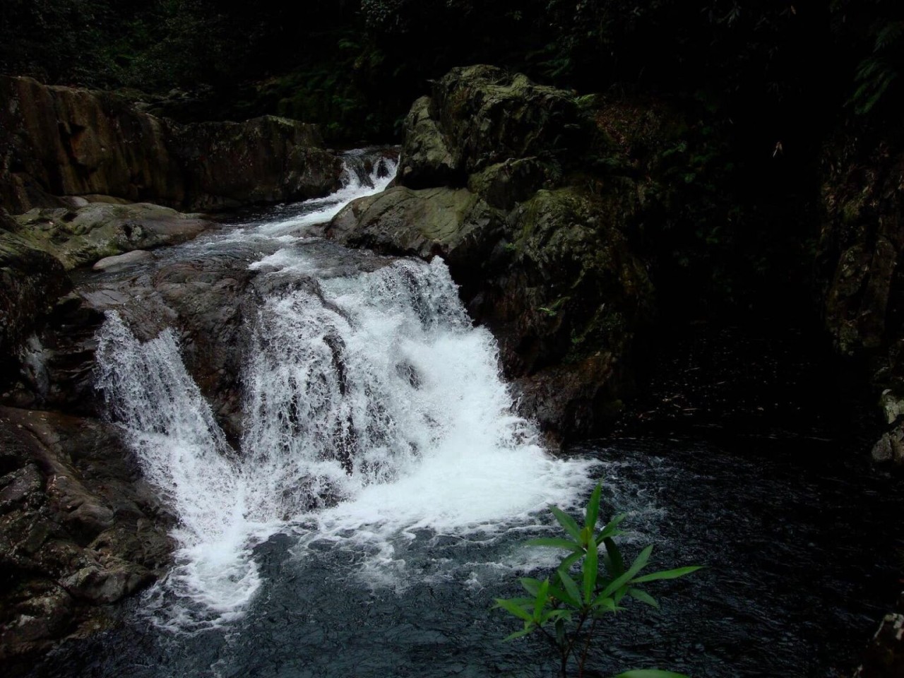 Experience The Breath-Taking Wilderness Of Vu Quang National Park Experience The Breath-Taking Wilderness Of Vu Quang National Park