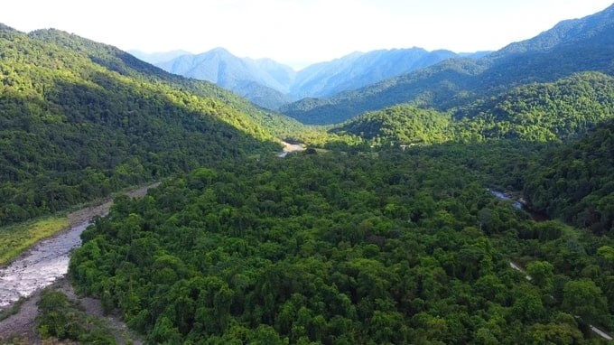 Experience The Breath-Taking Wilderness Of Vu Quang National Park Experience The Breath-Taking Wilderness Of Vu Quang National Park