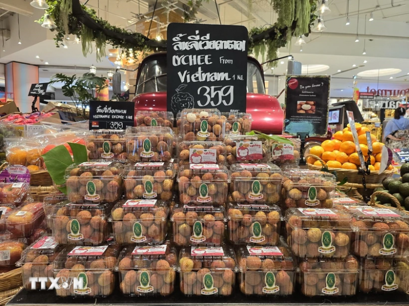 Những hộp vải tươi Việt Nam đầu tiên được bày bán tại siêu thị Gourmet Market ở Bangkok ngày 15/6. (Ảnh: TTXVN) Những hộp vải tươi Việt Nam đầu tiên được bày bán tại siêu thị Gourmet Market ở Bangkok ngày 15/6. (Ảnh: TTXVN)