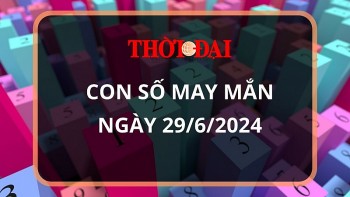 Con số may mắn hôm nay 29/6/2024 12 con giáp: Thìn lộc lá tràn vào nhà