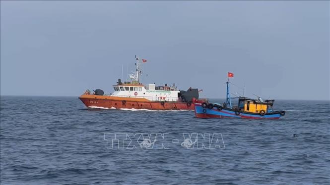 Chuyên gia tại Australia đánh giá Việt Nam có nhiều chuyển biến tích cực trong gỡ Chú thích ảnh