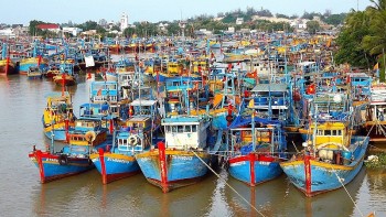Việt Nam quyết tâm cao gỡ cảnh báo 