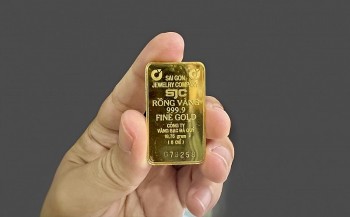 Giá vàng miếng SJC vẫn bất động, vàng nhẫn quay đầu giảm