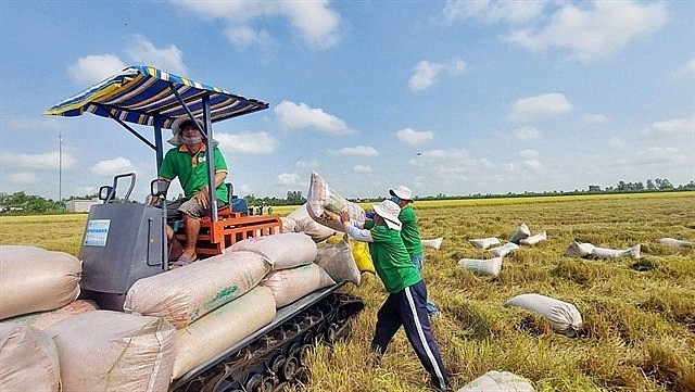 Photo: tapchicongthuong.vn Photo: tapchicongthuong.vn