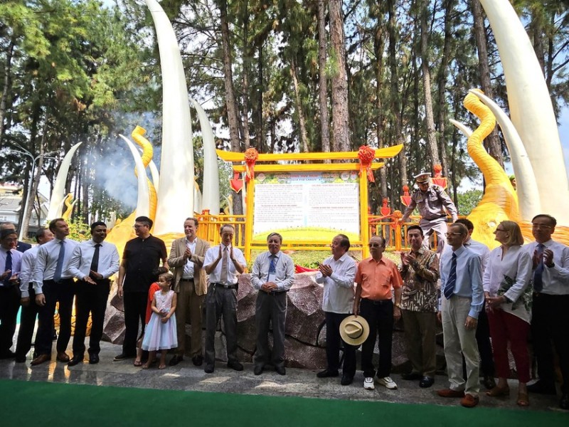 “Vườn thông hữu nghị” - biểu tượng của tình đoàn kết, hợp tác cùng phát triển “Vườn thông hữu nghị” - biểu tượng của tình đoàn kết, hợp tác cùng phát triển