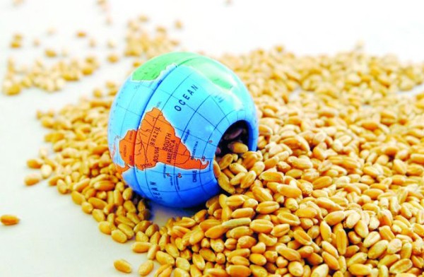 FAO: Sản lượng ngũ cốc toàn cầu năm 2024 gần 2.900 triệu tấn 1 FAO: Sản lượng ngũ cốc toàn cầu năm 2024 gần 2.900 triệu tấn 1