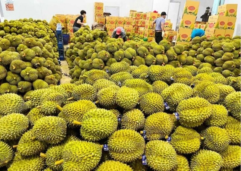 Trung Quốc tiếp tục là nước nhập khẩu rau quả lớn nhất của Việt Nam Trung Quốc tiếp tục là nước nhập khẩu rau quả lớn nhất của Việt Nam
