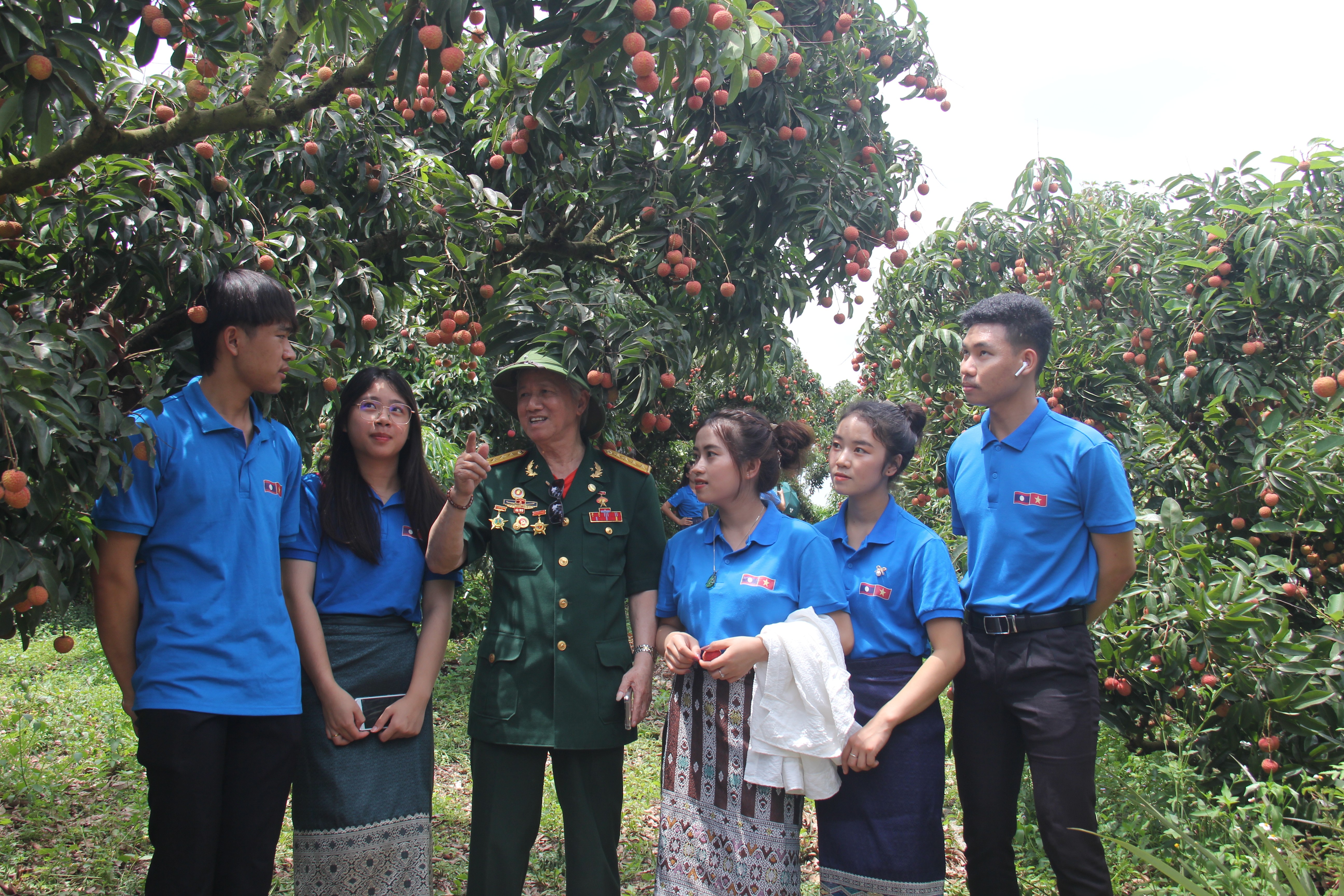 Lưu học sinh Lào khám phá vườn vải ở Lục Ngạn, Bắc Giang (Ảnh: Thành Luân). Lưu học sinh Lào khám phá vườn vải ở Lục Ngạn, Bắc Giang (Ảnh: Thành Luân).