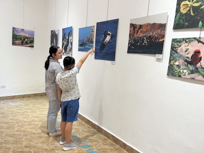 Triển lãm ảnh thu hút cả các em nhỏ tới tham quan, trải nghiệm. (Ảnh: Thu Phượng) Triển lãm ảnh thu hút cả các em nhỏ tới tham quan, trải nghiệm. (Ảnh: Thu Phượng)