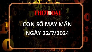 Con số may mắn hôm nay 22/7/2024 12 con giáp: Hợi tài lộc bủa vây