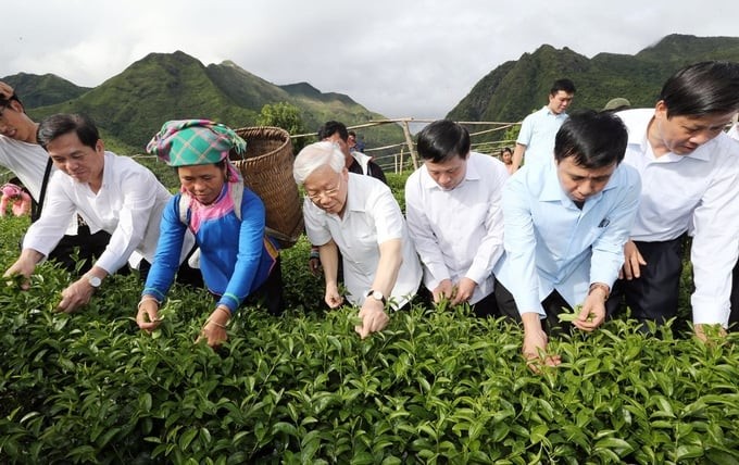 Tháng 7/2016, Tổng Bí thư Nguyễn Phú Trọng về thăm bà con xã Bản Bo, huyện Tam Đường, tỉnh Lai Châu. và làm việc với lãnh đạo chủ chốt của tỉnh Lai Châu. Ông đã khảo sát thực tế mô hình thâm canh sản xuất chè chất lượng cao theo tiêu chuẩn VietGap tại bản Cốc Phát và tham gia hái chè cùng bà con xã Bản Bo. (Ảnh: Nông nghiệp Việt Nam) Tháng 7/2016, Tổng Bí thư Nguyễn Phú Trọng về thăm bà con xã Bản Bo, huyện Tam Đường, tỉnh Lai Châu. và làm việc với lãnh đạo chủ chốt của tỉnh Lai Châu. Ông đã khảo sát thực tế mô hình thâm canh sản xuất chè chất lượng cao theo tiêu chuẩn VietGap tại bản Cốc Phát và tham gia hái chè cùng bà con xã Bản Bo. (Ảnh: Nông nghiệp Việt Nam)