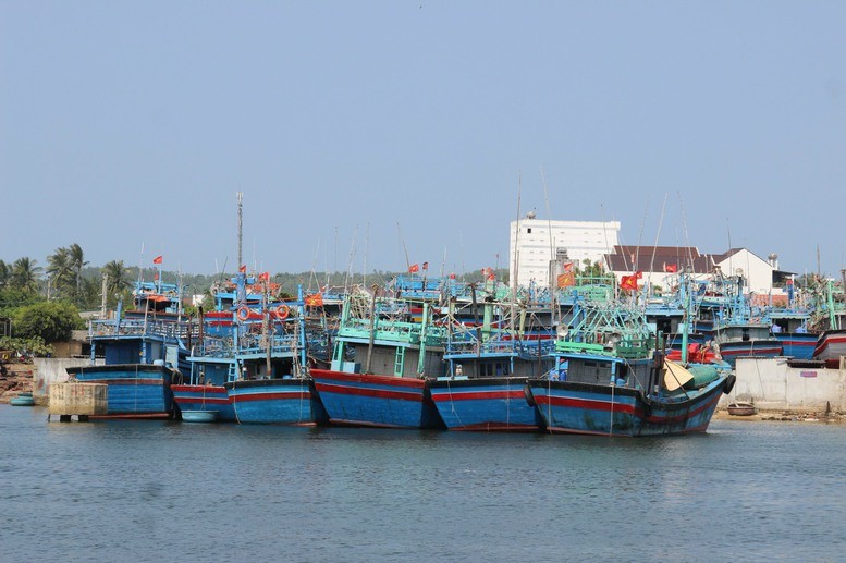 Hơn 200 tàu cá của tỉnh Bình Định thường xuyên hoạt động ở phía nam, hàng năm không về địa phương. Hơn 200 tàu cá của tỉnh Bình Định thường xuyên hoạt động ở phía nam, hàng năm không về địa phương.