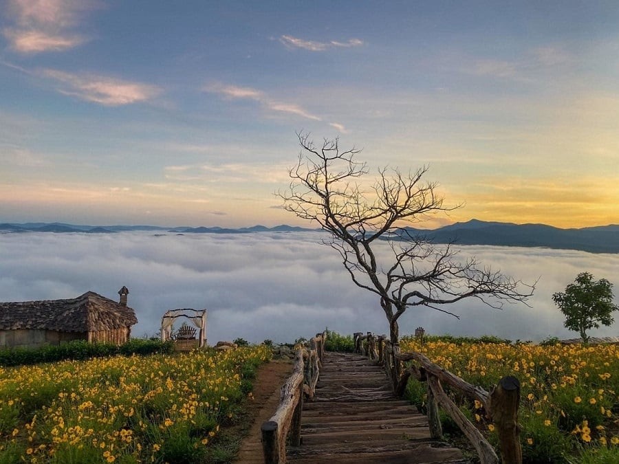 Lonely Planet: Hanoi And Da Nang Among Best Places In Southeast Asia For Solo Travellers Lonely Planet: Hanoi And Da Nang Among Best Places In Southeast Asia For Solo Travellers