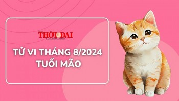 Tử vi tuổi Mão tháng 8/2024: Tiền của hao hụt, tình cảm không như ý