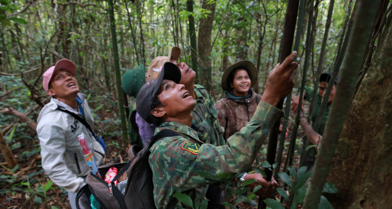 WWF hỗ trợ tỉnh Quảng Trị đẩy mạnh chuỗi cung ứng Mây bền vững WWF hỗ trợ tỉnh Quảng Trị đẩy mạnh chuỗi cung ứng Mây bền vững