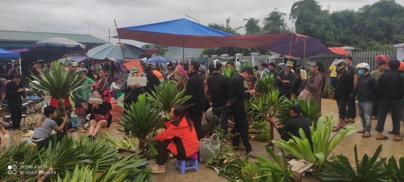 Chợ phiên Tủa Chùa, Điện Biên được công nhận là điểm du lịch Chợ phiên Tủa Chùa, Điện Biên được công nhận là điểm du lịch